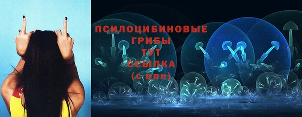 apvp Краснослободск