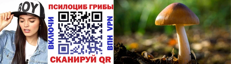 Псилоцибиновые грибы мицелий  ссылка на мегу рабочий сайт  Михайловка  купить  