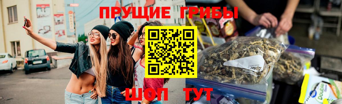 Псилоцибиновые грибы Cubensis  продажа наркотиков  Михайловка 